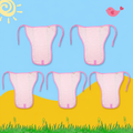 Blush Pink Muslin Nappy Combo