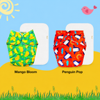 Printed Cloth Diaper With Large White Insert (Pack of 2)